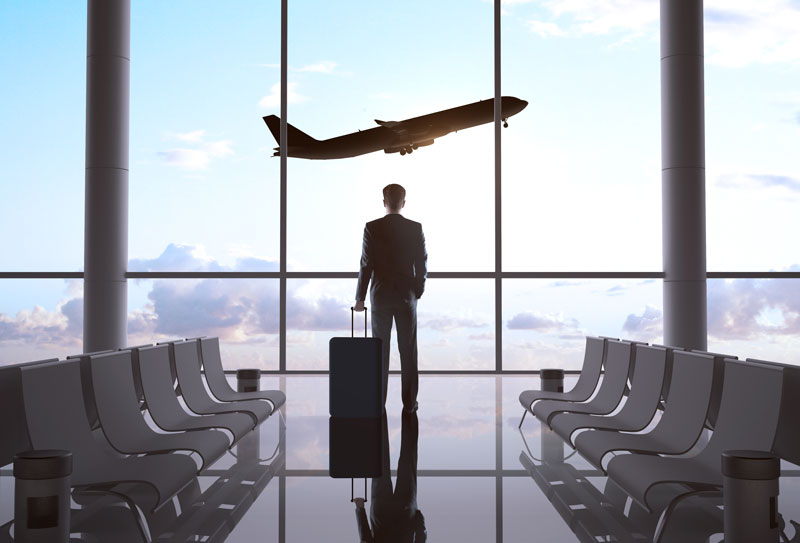prime-travel-mice
